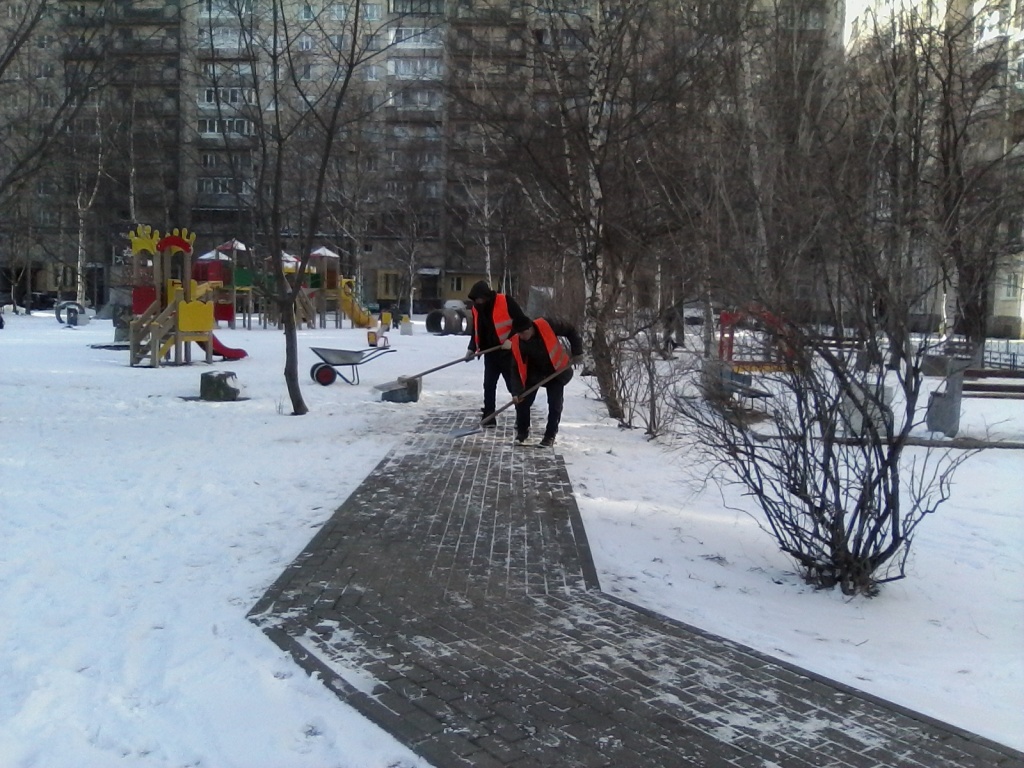 IMG_20190304_151110.jpg