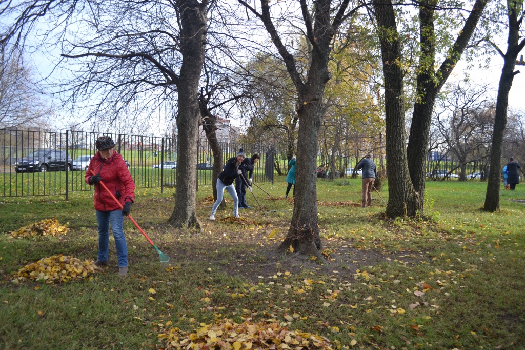 DSC_1917.JPG DSC_1917.JPG