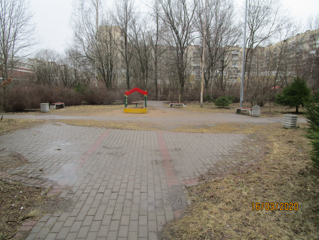 IMG_3090.JPG