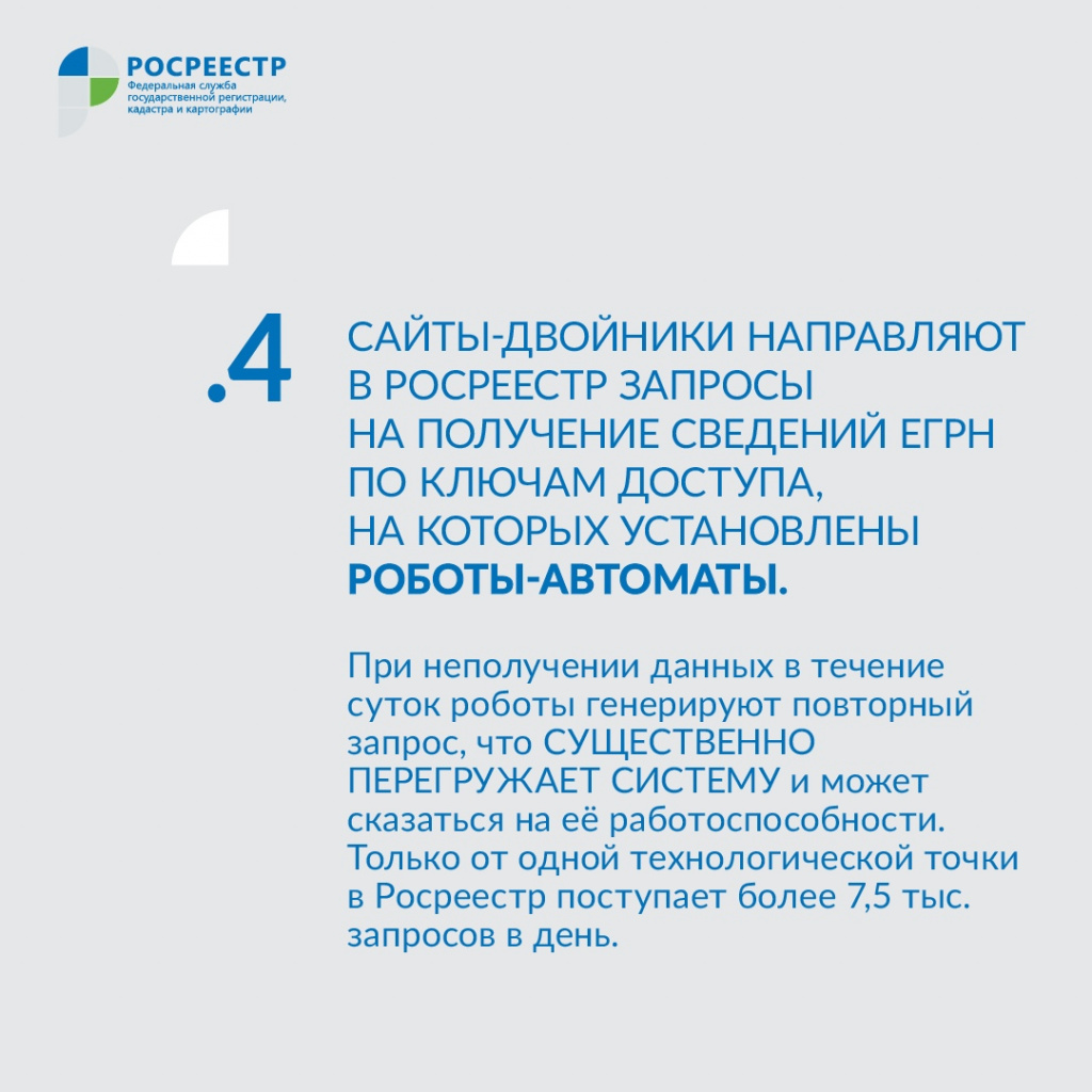image5.jpeg