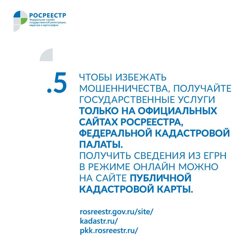 image6.jpeg