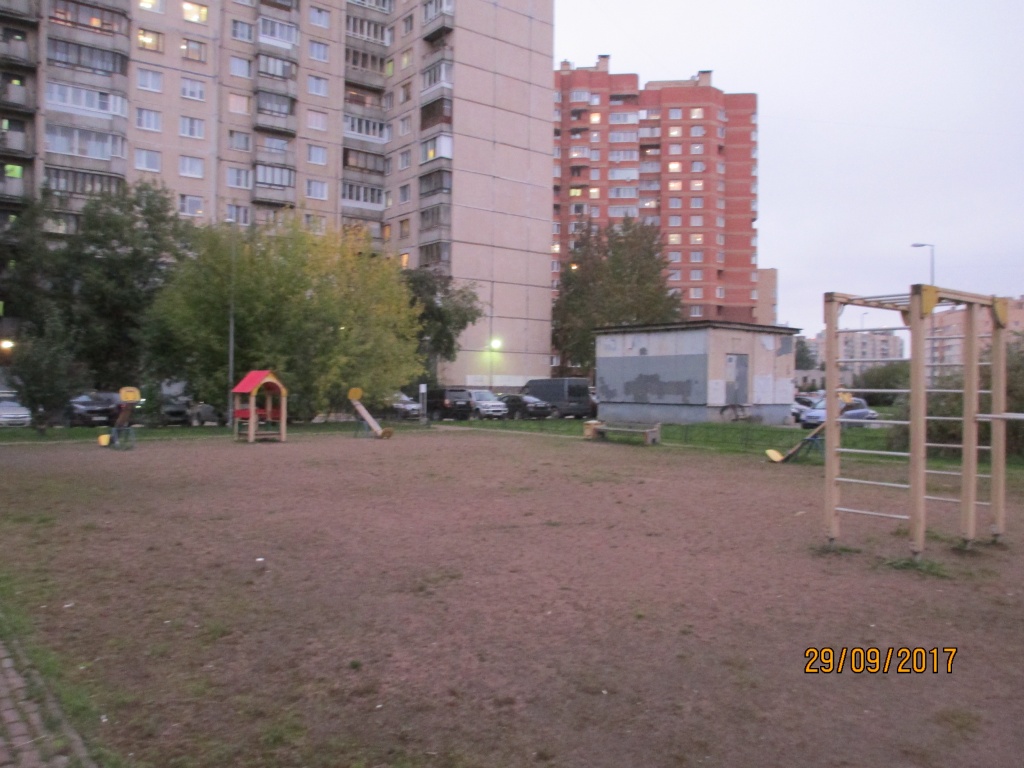 image9.jpeg