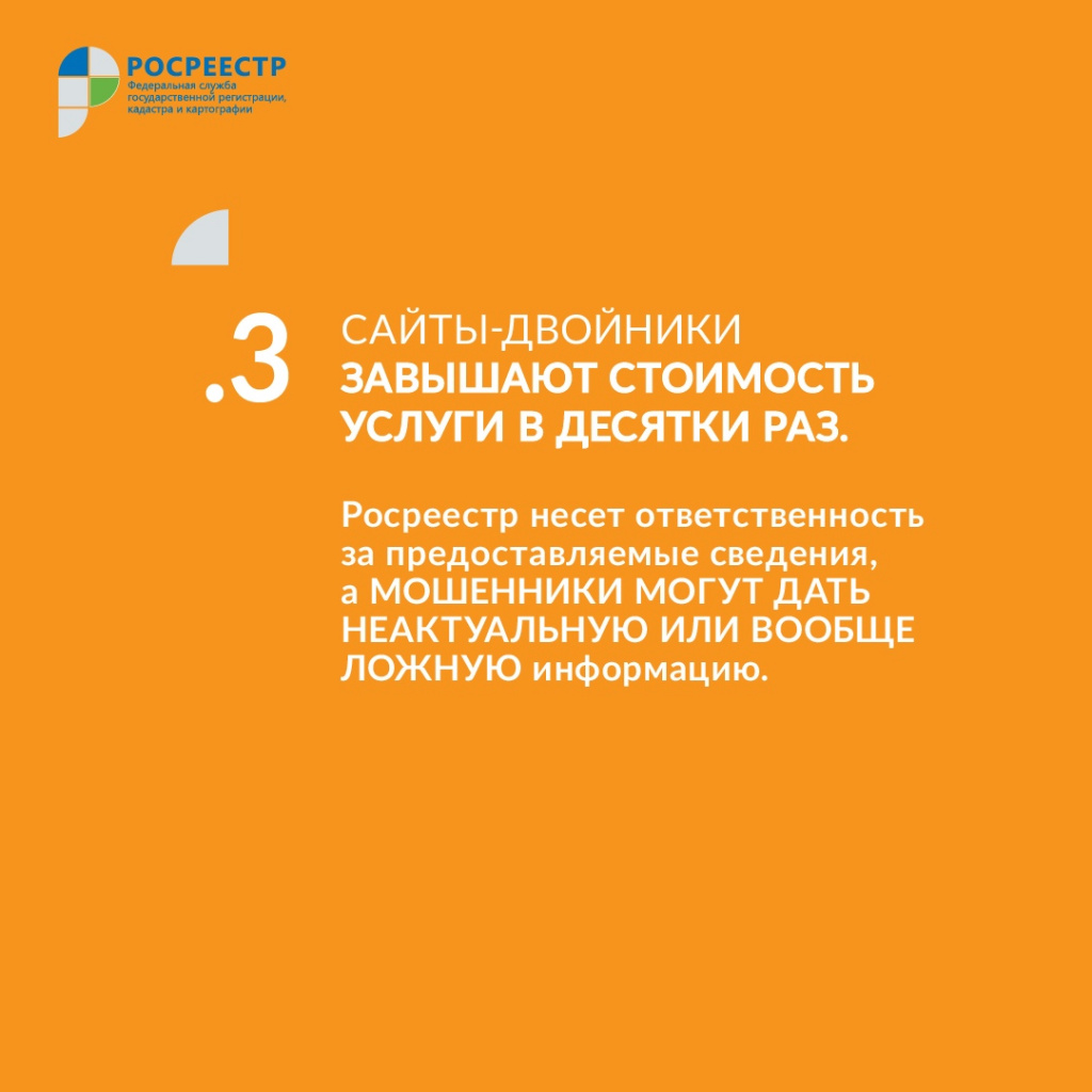 image4.jpeg