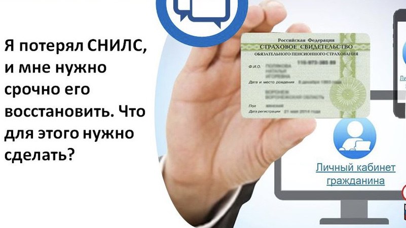 СНИЛС.jpg СНИЛС.jpg