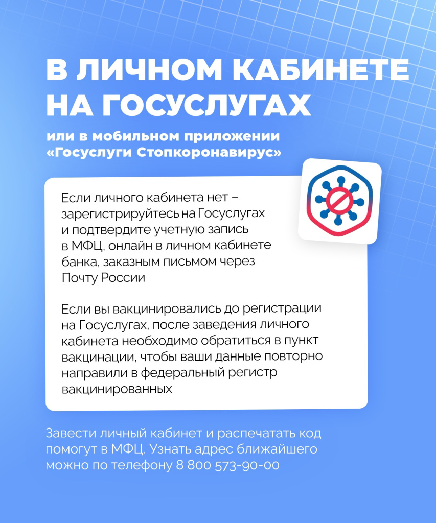 QR код инфографика (4).jpg