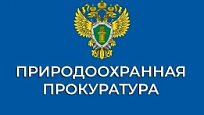 Простые правила законной рубки зеленых насаждений