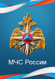 Управление по Фрунзенскому району ГУ МЧС России по г. Санкт-Петербургу информирует