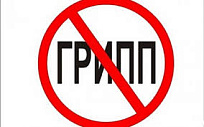 Профилактика гриппа и ОРВИ в период подъема заболеваемости Профилактика гриппа и ОРВИ в период подъема заболеваемости